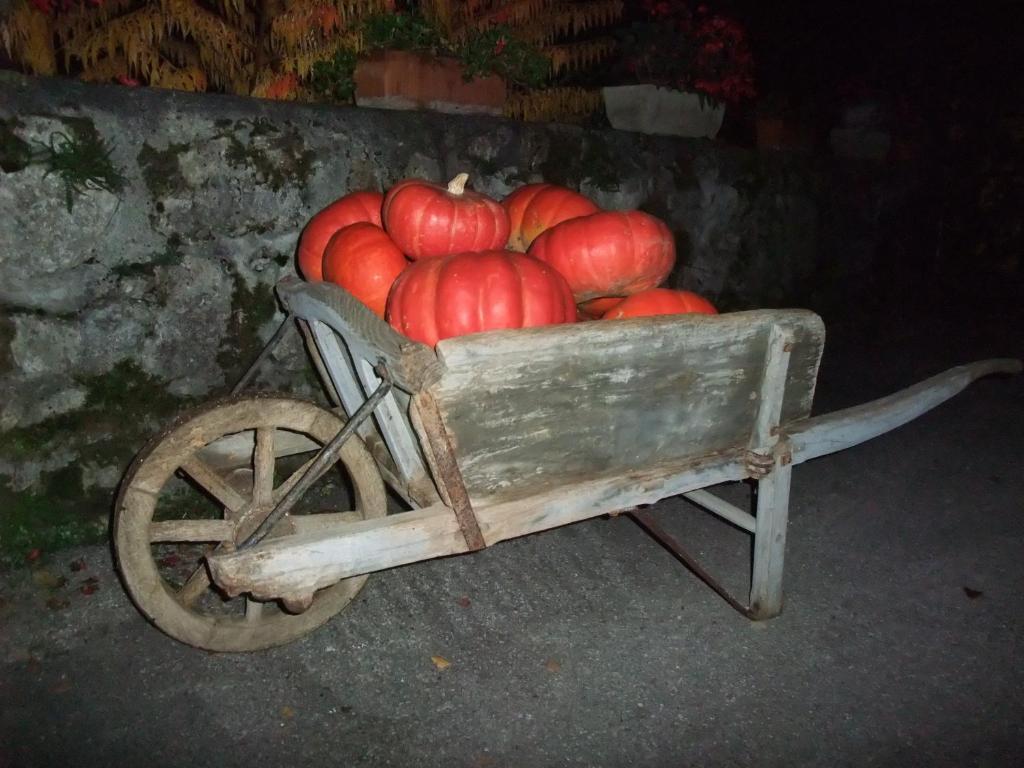 Domaine du Grand Cellier - Insolite en Savoie Tournon-sur-Rhône Exterior foto